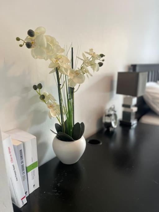 Cosy-rent Tv Wifi Parking Appartement Strasbourg