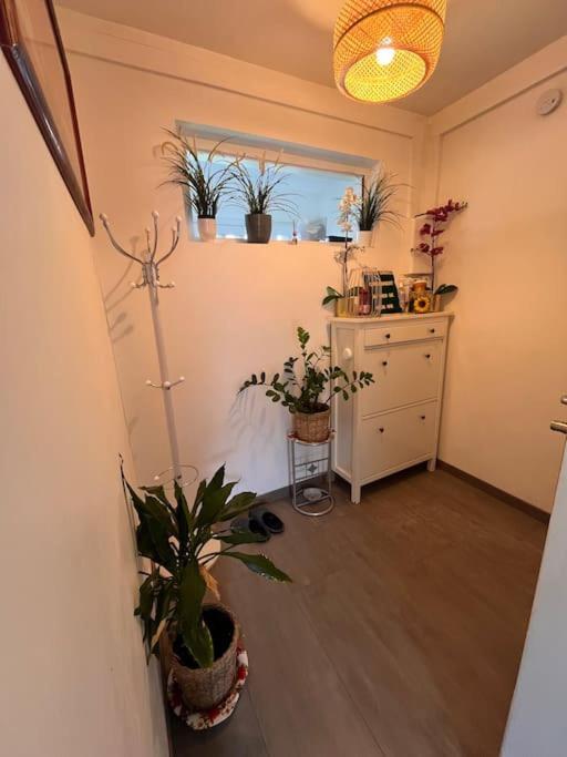 Cosy-rent Tv Wifi Parking * Strasbourg